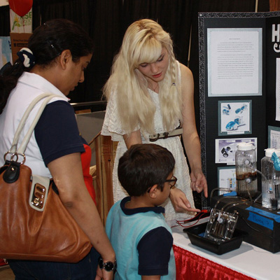 网站ddos隐藏源ip