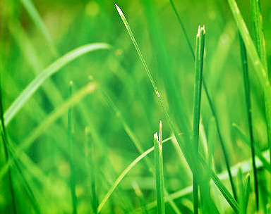 免费DDOS攻击测试工具